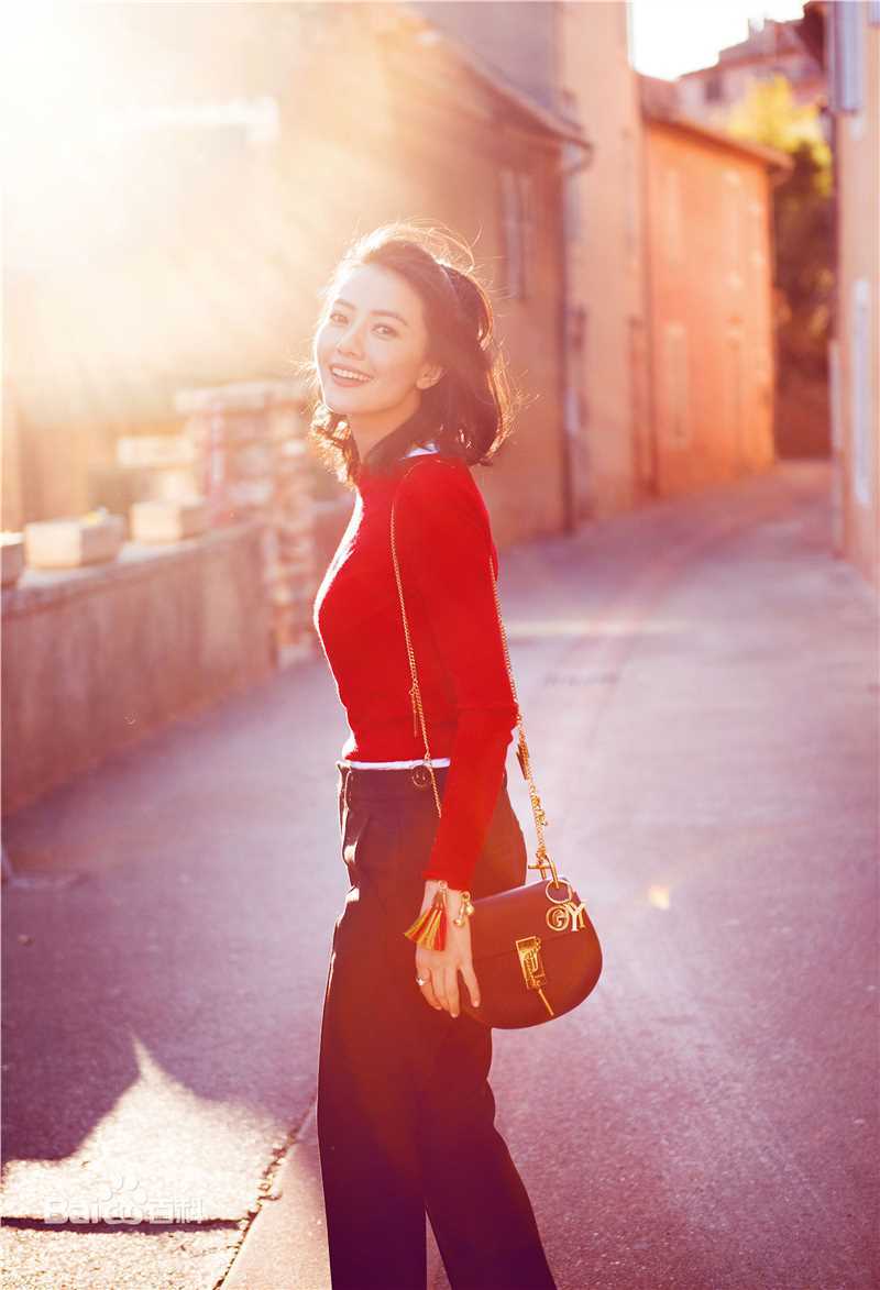 高圆圆(Gao Yuanyuan)街拍性感图片图集