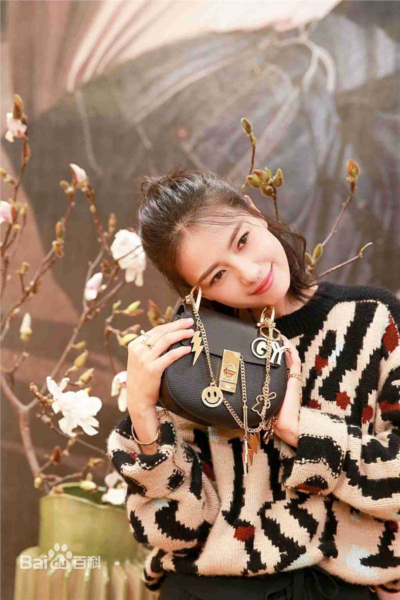 高圆圆(Gao Yuanyuan)街拍性感图片图集