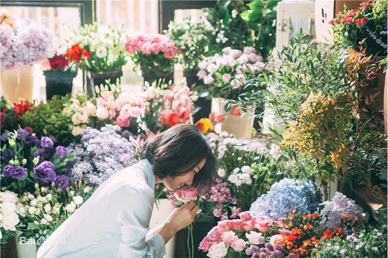 高圆圆(Gao Yuanyuan)精选花点时间图册