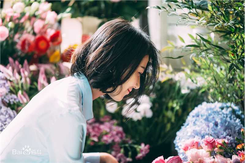 高圆圆(Gao Yuanyuan)精选花点时间图册