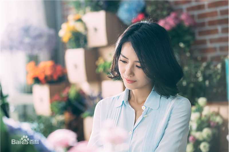 高圆圆(Gao Yuanyuan)精选花点时间图册