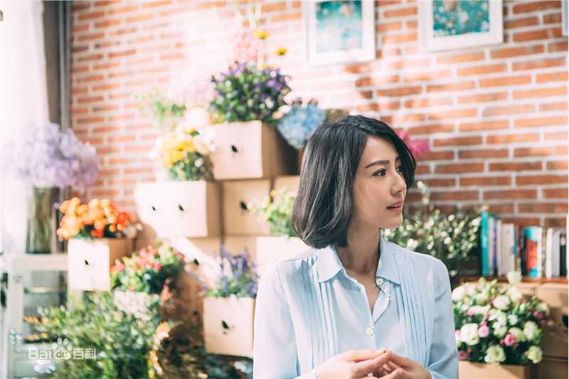 高圆圆(Gao Yuanyuan)精选花点时间图册