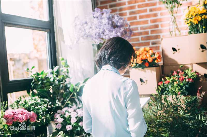 高圆圆(Gao Yuanyuan)精选花点时间图册