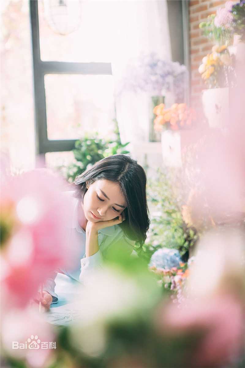 高圆圆(Gao Yuanyuan)精选花点时间图册