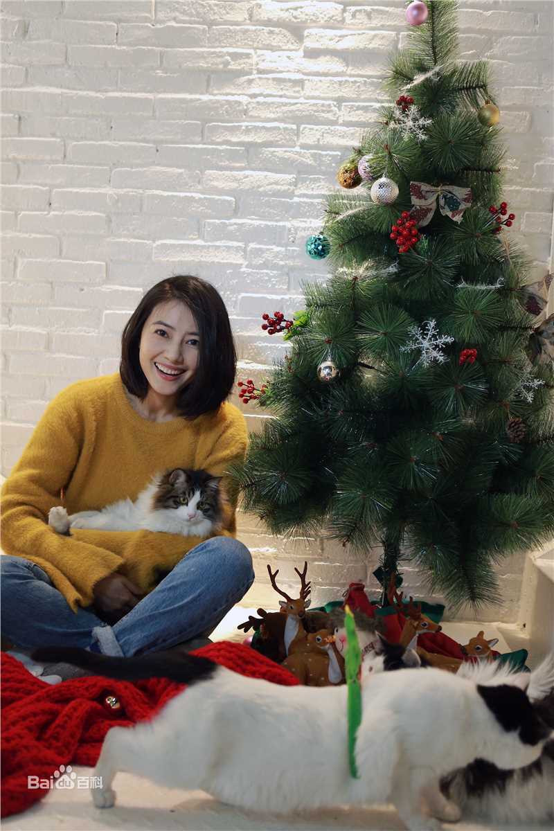 高圆圆(Gao Yuanyuan)日常生活图片图册