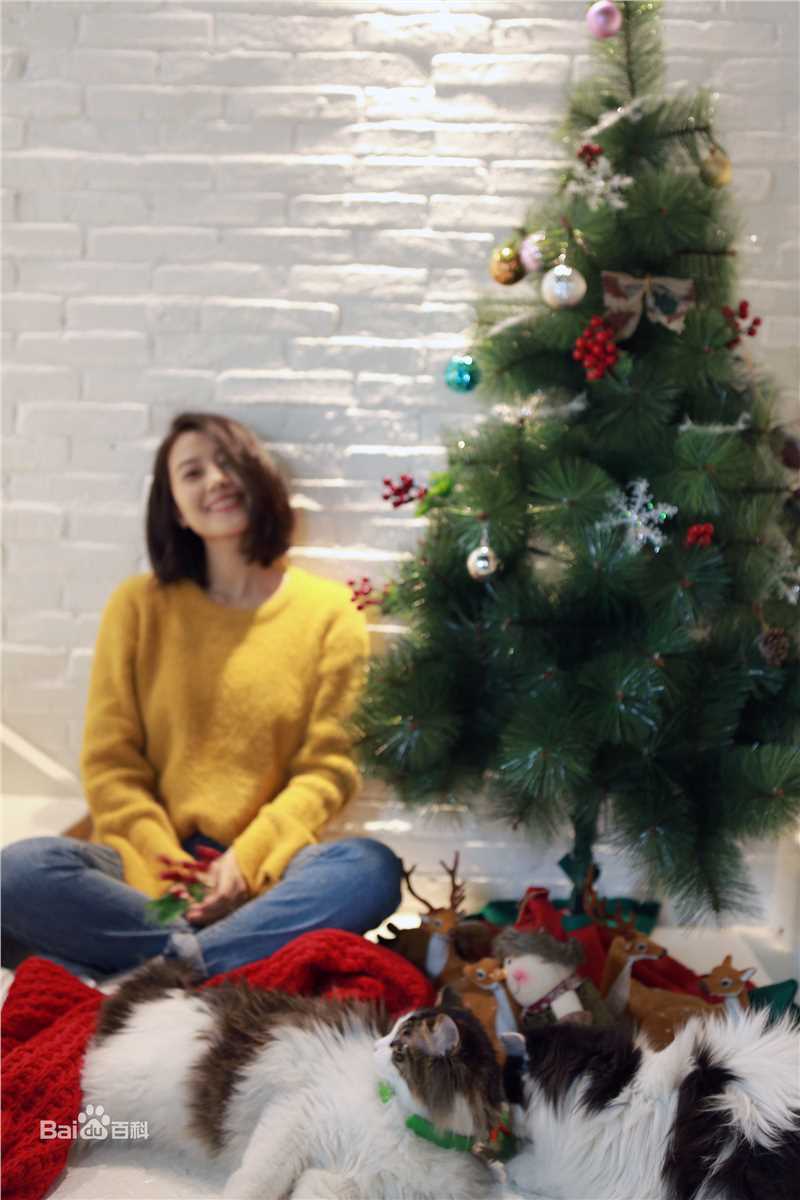 高圆圆(Gao Yuanyuan)日常生活图片图册