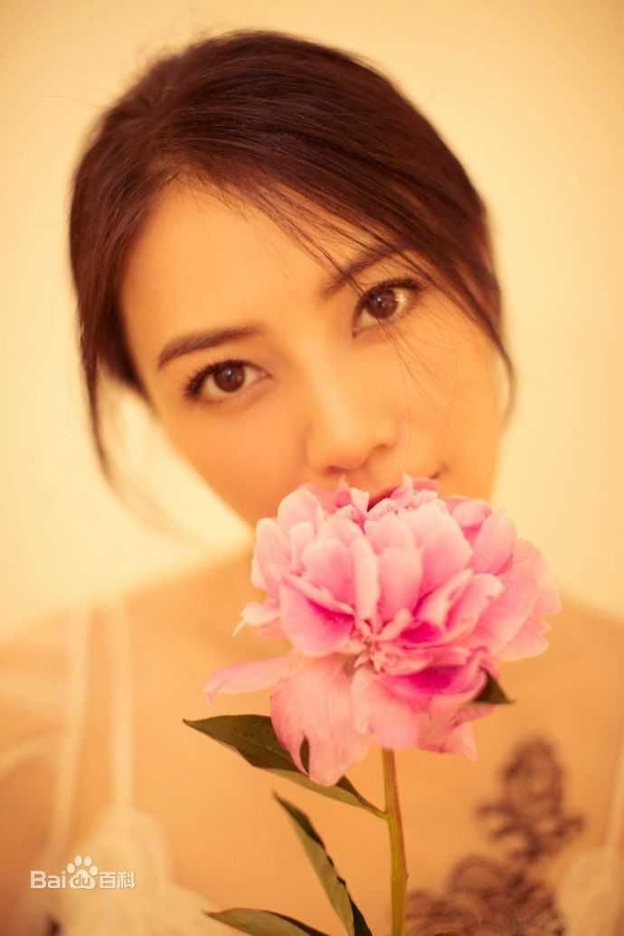 高圆圆(Gao Yuanyuan)出席活动壁纸壁纸