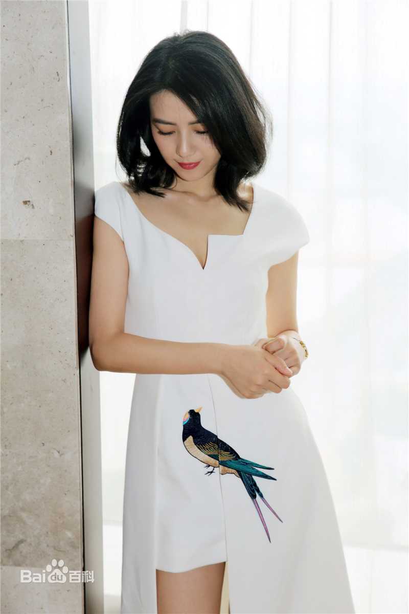 高圆圆(Gao Yuanyuan)出席活动壁纸壁纸