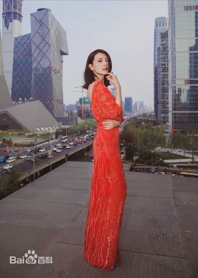 高圆圆(Gao Yuanyuan)出席活动壁纸壁纸