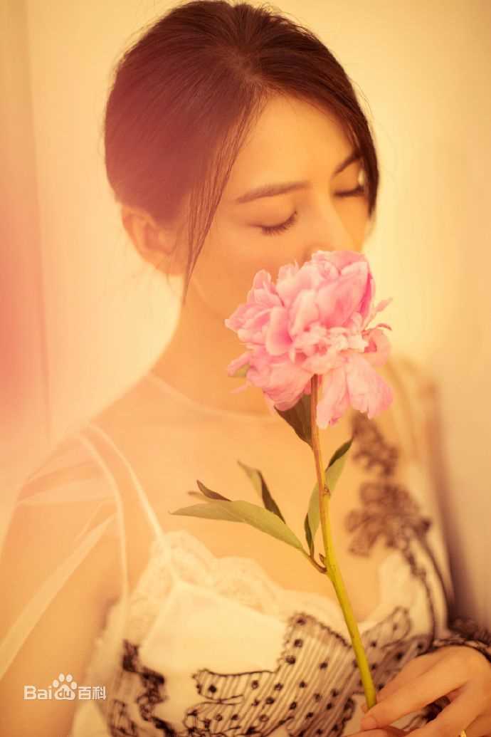 高圆圆(Gao Yuanyuan)出席活动壁纸壁纸