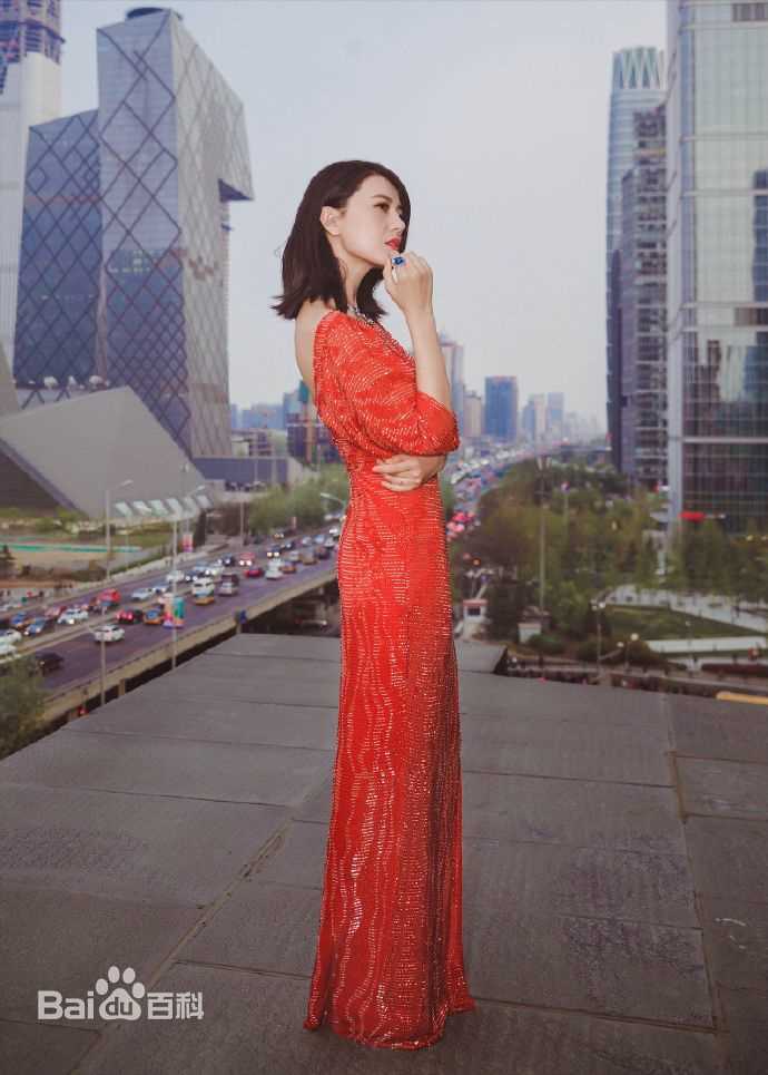 高圆圆(Gao Yuanyuan)出席活动壁纸壁纸