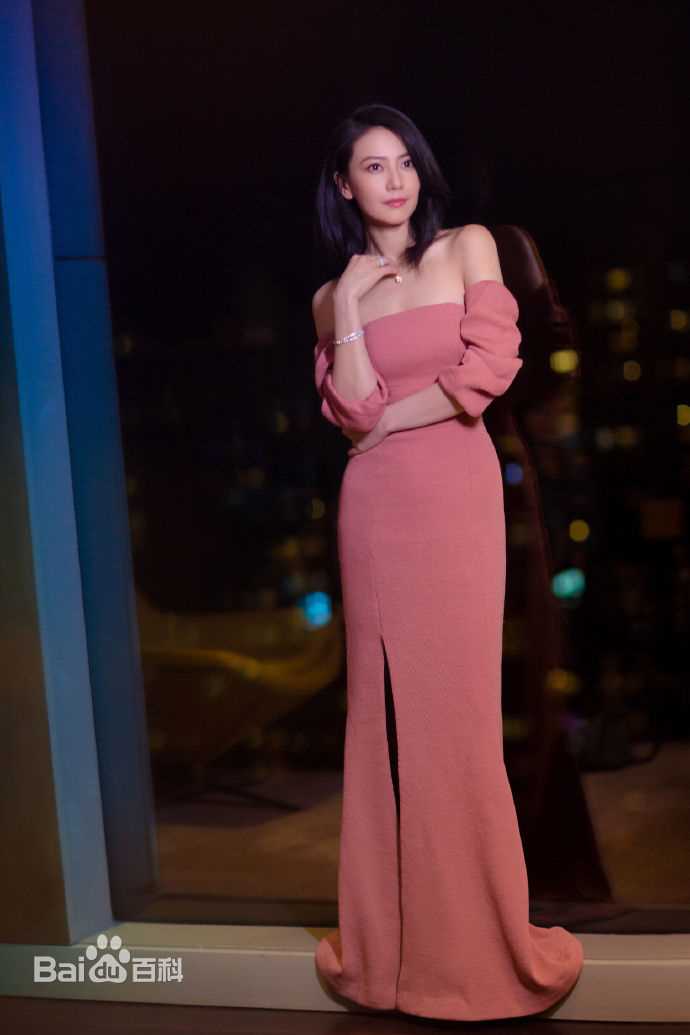 高圆圆(Gao Yuanyuan)出席活动壁纸壁纸