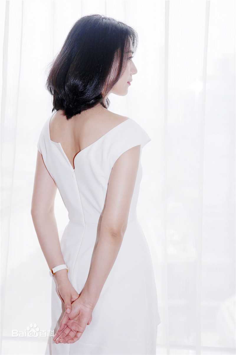 高圆圆(Gao Yuanyuan)出席活动壁纸壁纸