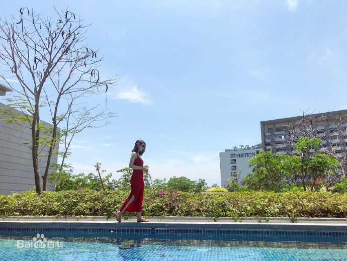 高圆圆(Gao Yuanyuan)出席活动壁纸壁纸