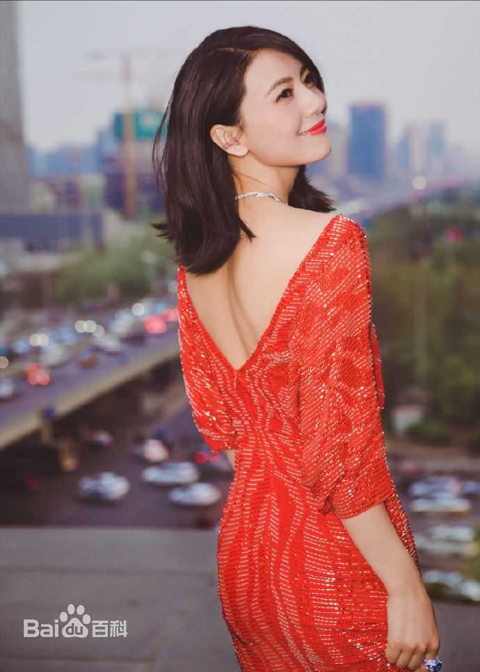 高圆圆(Gao Yuanyuan)出席活动壁纸壁纸