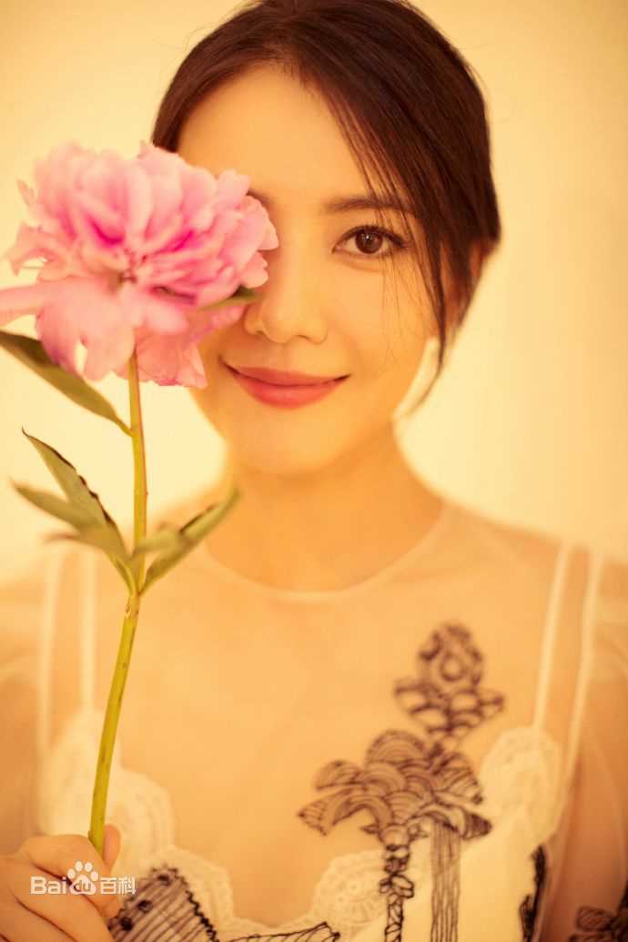 高圆圆(Gao Yuanyuan)出席活动壁纸壁纸