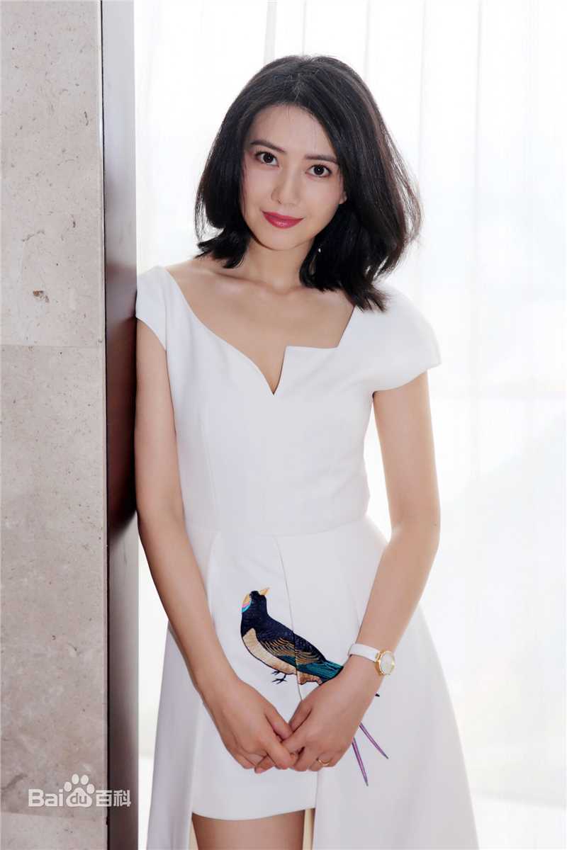 高圆圆(Gao Yuanyuan)出席活动壁纸壁纸