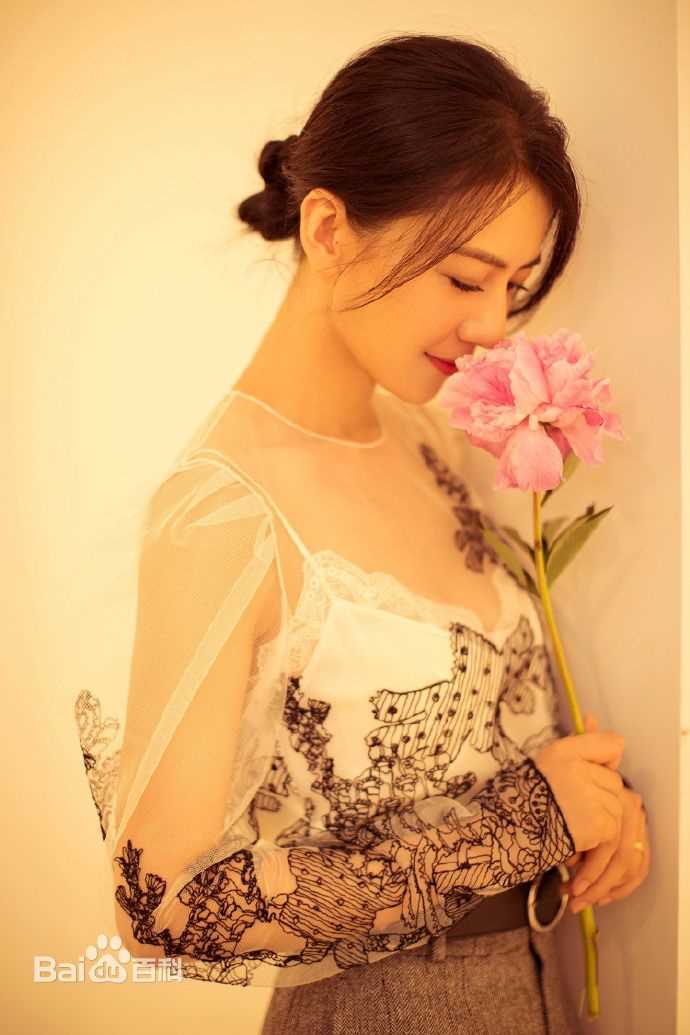 高圆圆(Gao Yuanyuan)出席活动壁纸壁纸