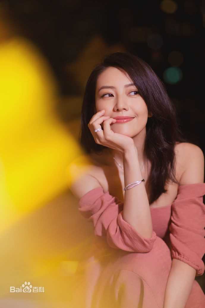 高圆圆(Gao Yuanyuan)出席活动壁纸壁纸