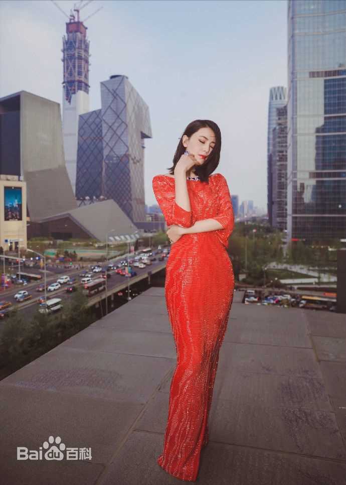 高圆圆(Gao Yuanyuan)出席活动壁纸壁纸