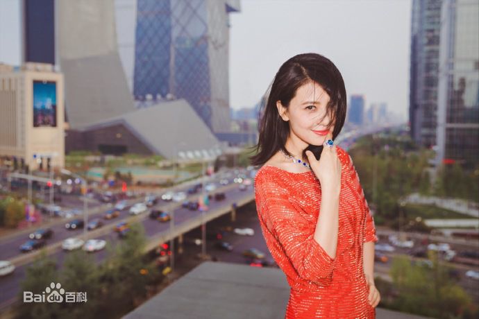 高圆圆(Gao Yuanyuan)出席活动壁纸壁纸