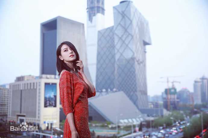 高圆圆(Gao Yuanyuan)出席活动壁纸壁纸