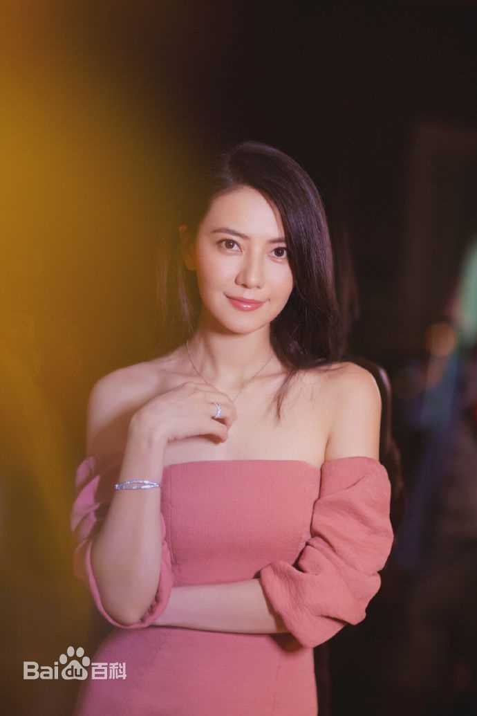 高圆圆(Gao Yuanyuan)出席活动壁纸壁纸