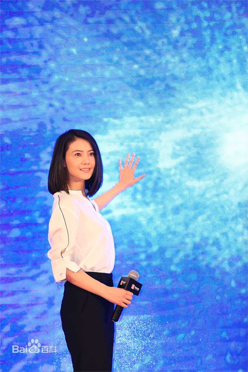 高圆圆(Gao Yuanyuan)头条寻人明星志愿者图片图册