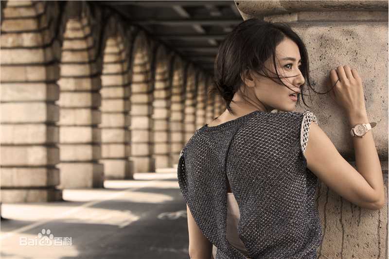 高圆圆(Gao Yuanyuan)广告代言前后照片