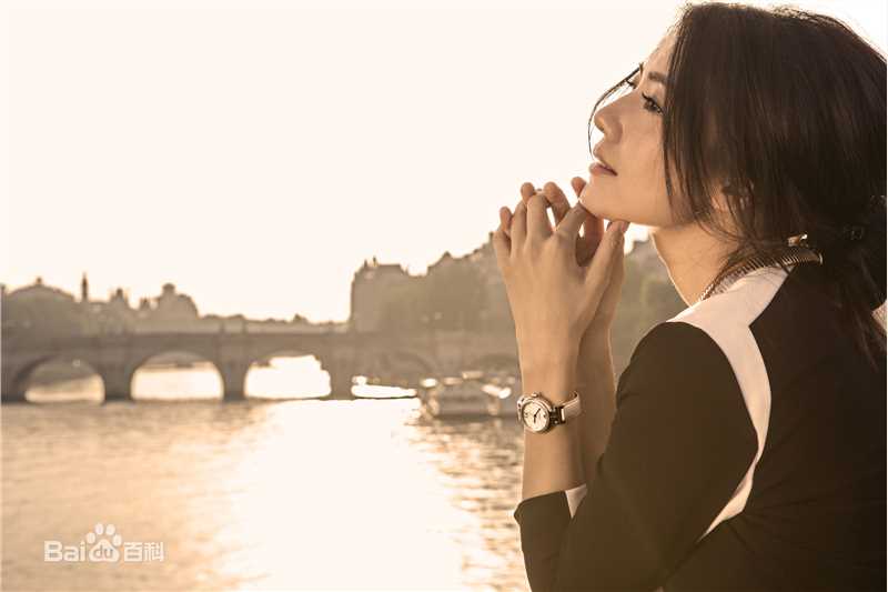 高圆圆(Gao Yuanyuan)广告代言前后照片