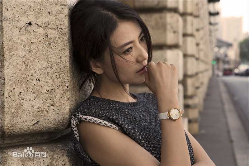 高圆圆(Gao Yuanyuan)广告代言前后照片