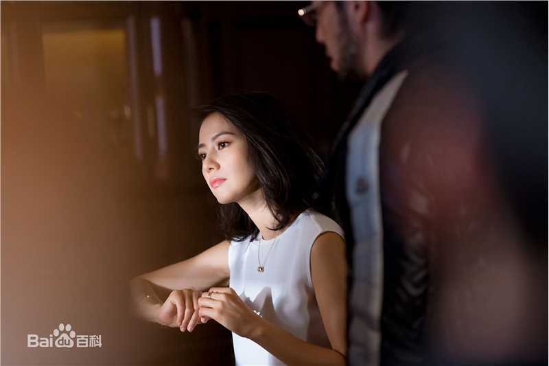 高圆圆(Gao Yuanyuan)工作花絮前后照片