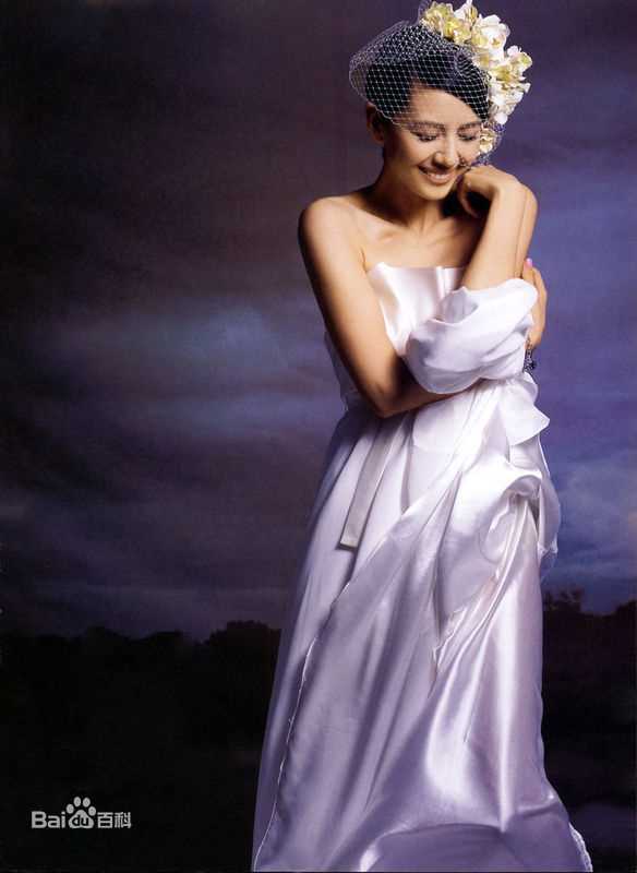 高圆圆(Gao Yuanyuan)婚纱照前后照片