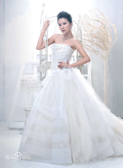 高圆圆(Gao Yuanyuan)婚纱照前后照片