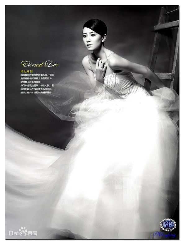 高圆圆(Gao Yuanyuan)婚纱照前后照片