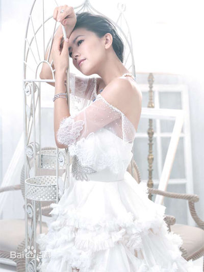 高圆圆(Gao Yuanyuan)婚纱照前后照片