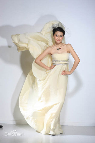 高圆圆(Gao Yuanyuan)婚纱照前后照片