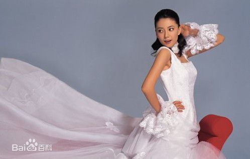 高圆圆(Gao Yuanyuan)婚纱照前后照片