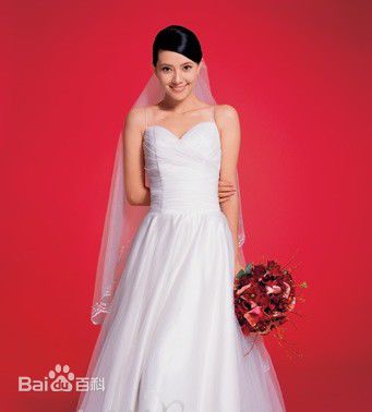 高圆圆(Gao Yuanyuan)婚纱照前后照片