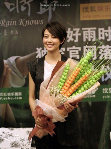 高圆圆(Gao Yuanyuan)影视宣传素颜照相册