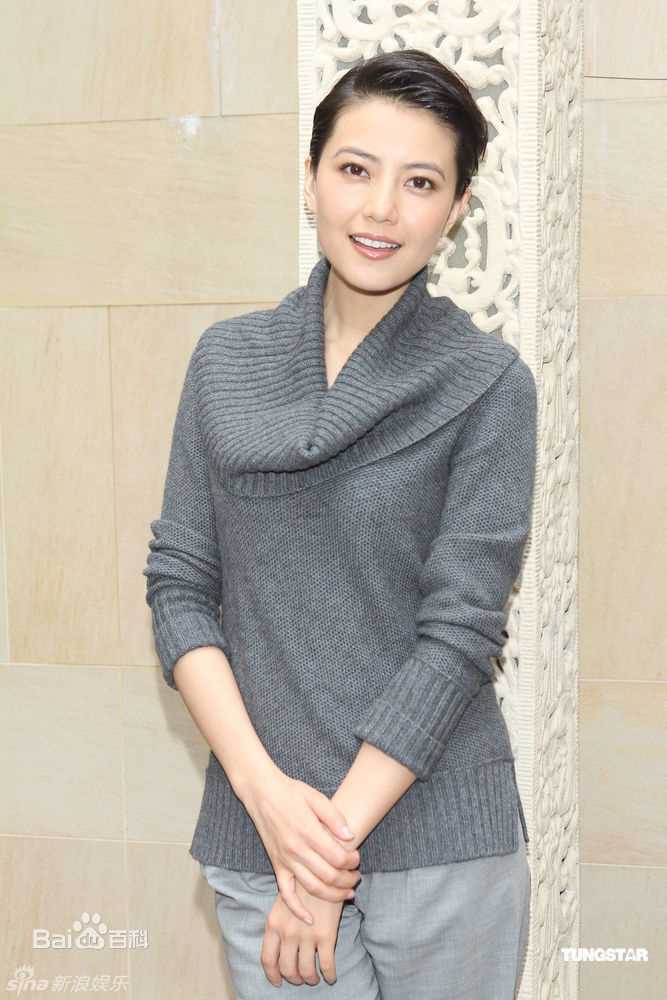 高圆圆(Gao Yuanyuan)影视宣传素颜照相册