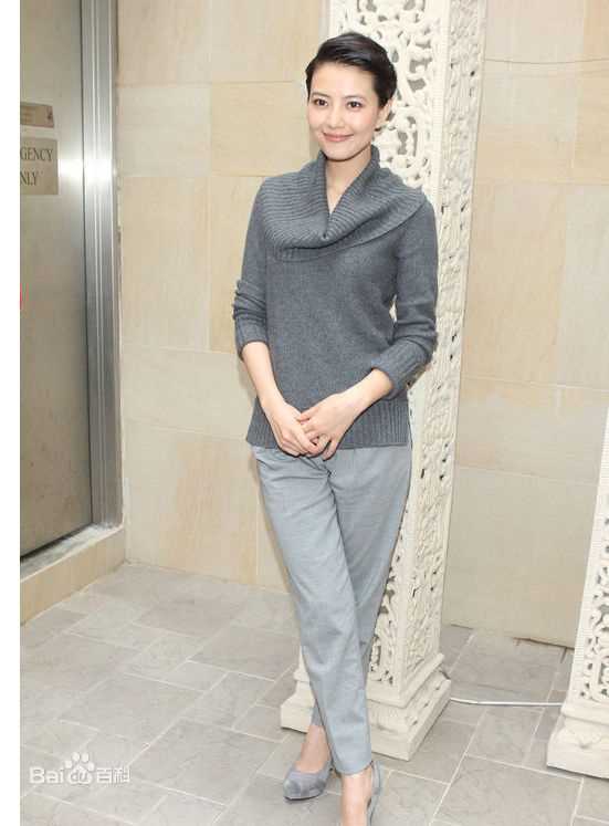 高圆圆(Gao Yuanyuan)影视宣传素颜照相册