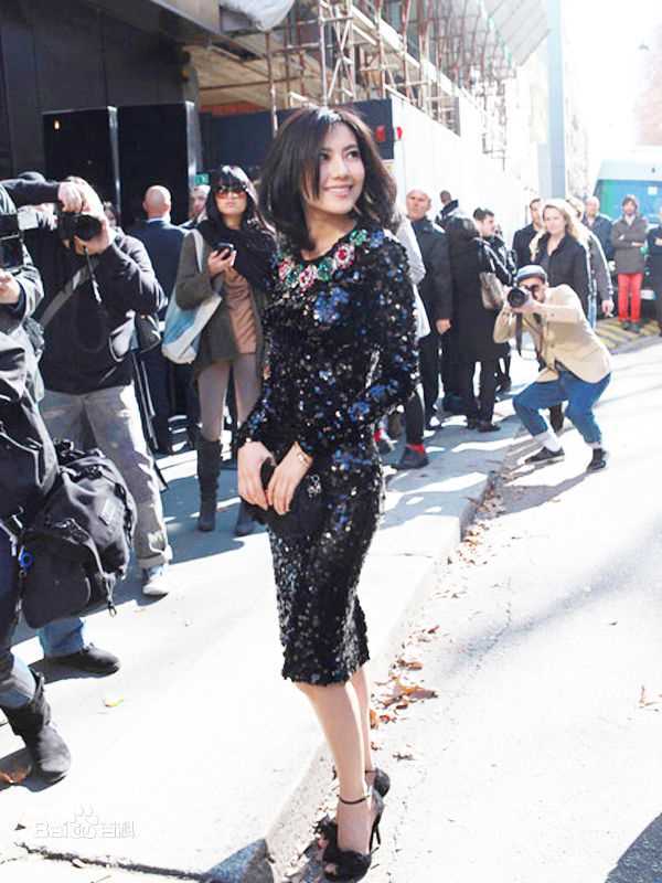 最新高圆圆(Gao Yuanyuan)精彩图册4