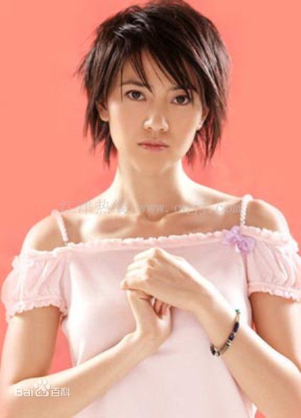 最全高圆圆(Gao Yuanyuan)精彩图册3