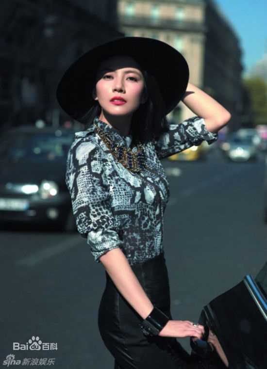 最全高圆圆(Gao Yuanyuan)精彩图册3