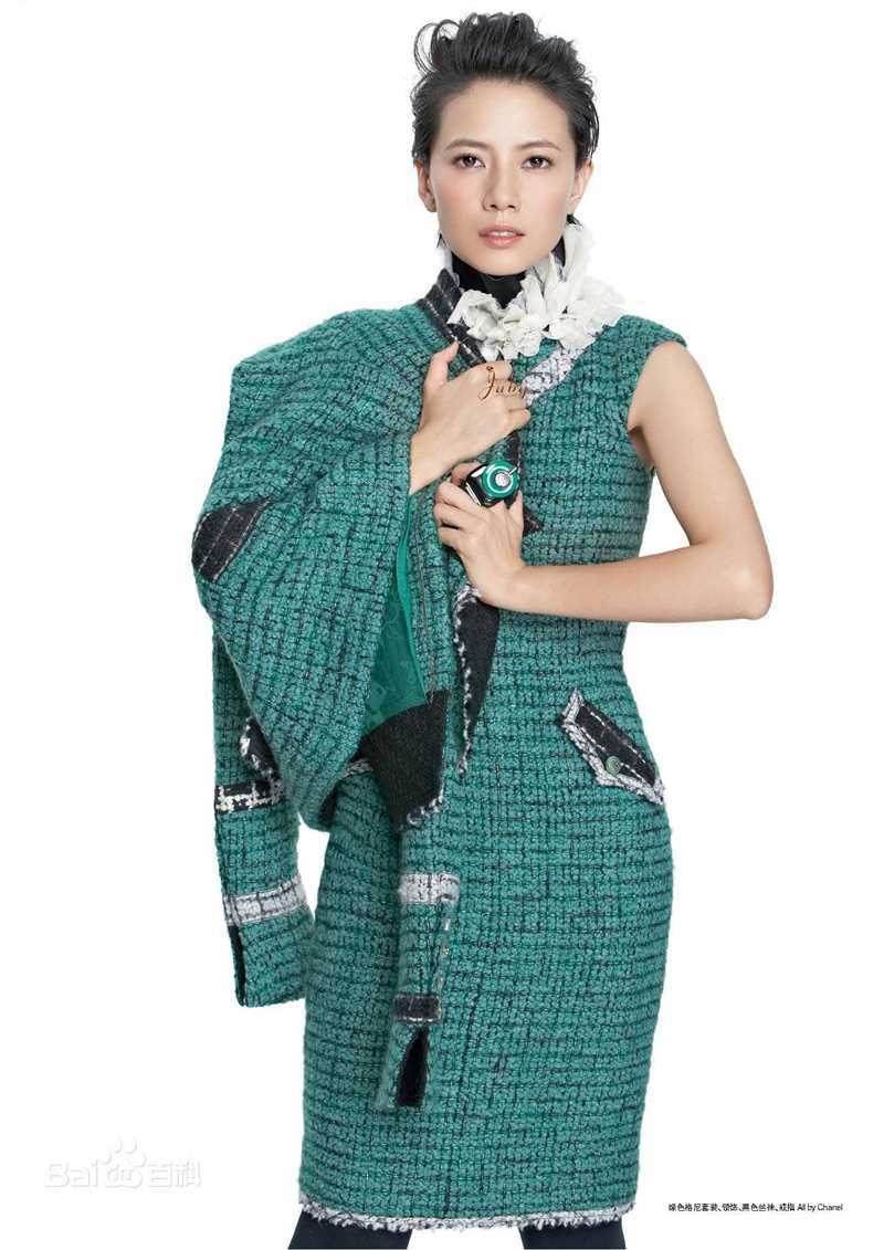 最全高圆圆(Gao Yuanyuan)精彩图册3