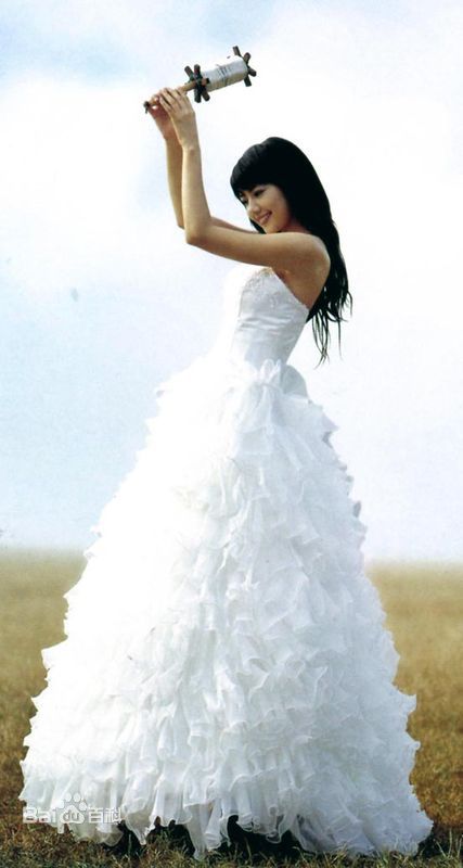 最全高圆圆(Gao Yuanyuan)精彩图册3