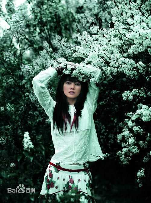 最全高圆圆(Gao Yuanyuan)精彩图册4