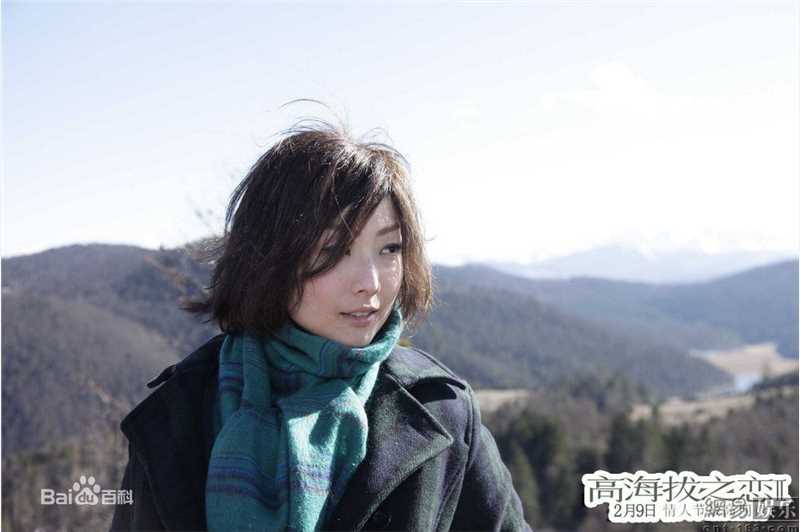 最新高圆圆(Gao Yuanyuan)精彩图册