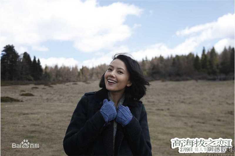 最新高圆圆(Gao Yuanyuan)精彩图册